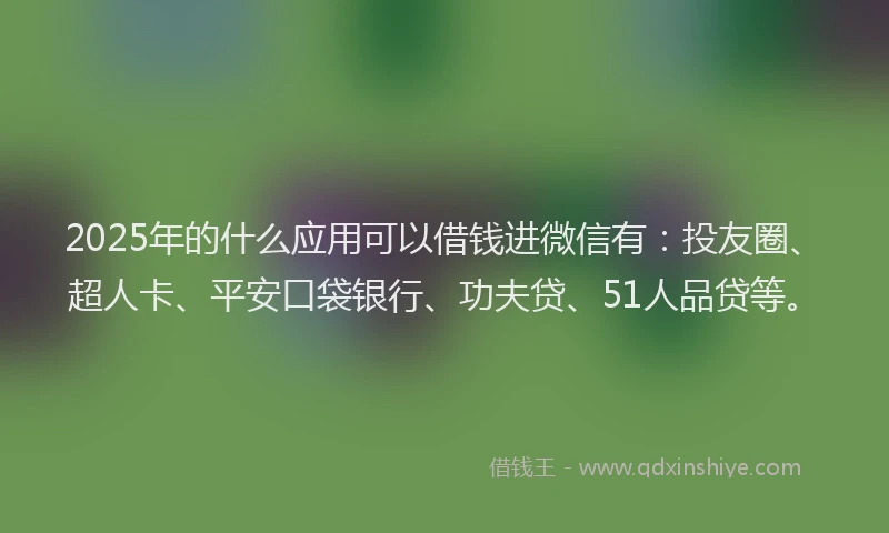 2025年的什么应用可以借钱进微信有：投友圈、超人卡、平安口袋银行、功夫贷、51人品贷等。