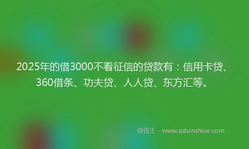 2025年的借3000不看征信的贷款有：信用卡贷、360借条、功夫贷、人人贷、东方汇等。