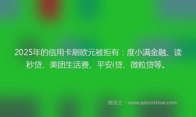 2025年的信用卡刷欧元被拒有：度小满金融、读秒贷、美团生活费、平安i贷、微粒贷等。