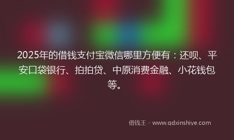 2025年的借钱支付宝微信哪里方便有：还呗、平安口袋银行、拍拍贷、中原消费金融、小花钱包等。