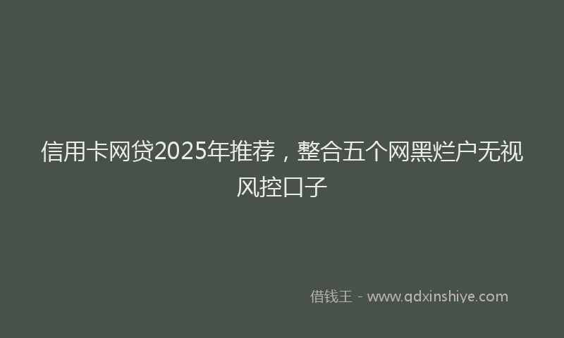 信用卡网贷2025年推荐，整合五个网黑烂户无视风控口子