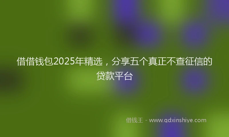 借借钱包2025年精选，分享五个真正不查征信的贷款平台