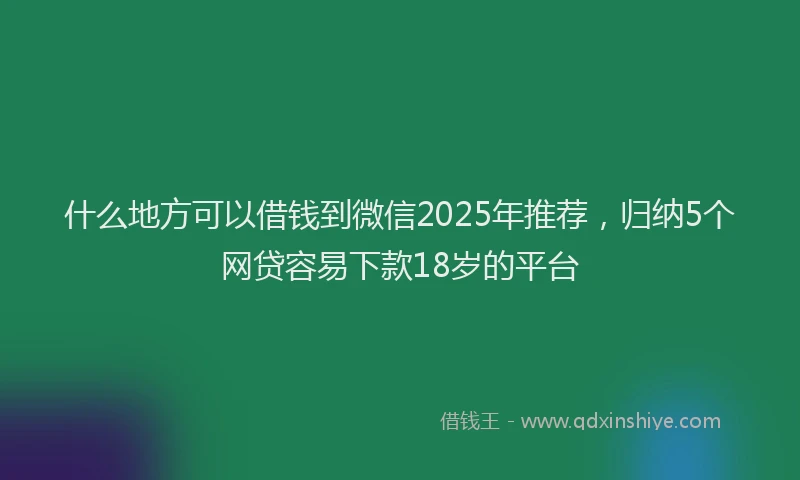 什么地方可以借钱到微信2025年推荐，归纳5个网贷容易下款18岁的平台
