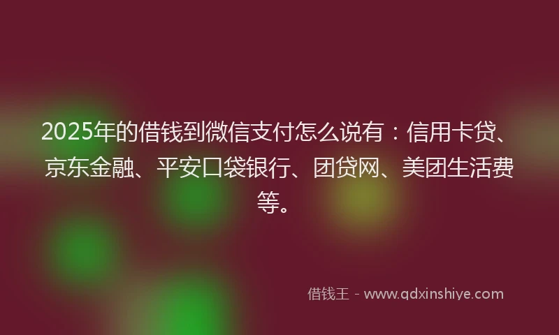 2025年的借钱到微信支付怎么说有：信用卡贷、京东金融、平安口袋银行、团贷网、美团生活费等。