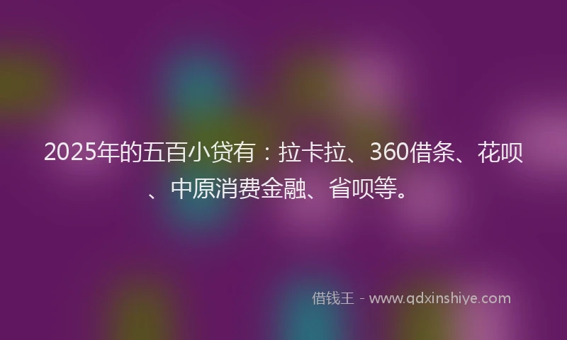 2025年的五百小贷有：拉卡拉、360借条、花呗、中原消费金融、省呗等。