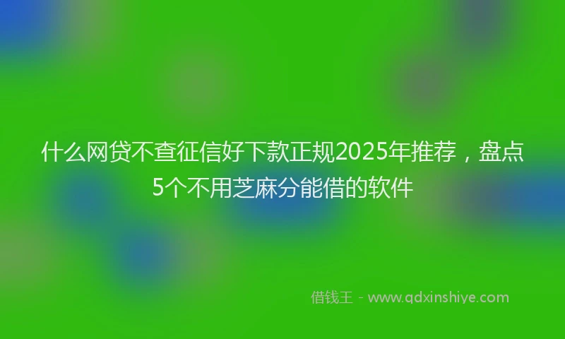 什么网贷不查征信好下款正规2025年推荐，盘点5个不用芝麻分能借的软件