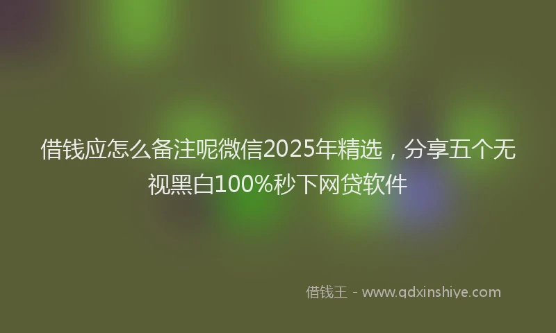 借钱应怎么备注呢微信2025年精选，分享五个无视黑白100%秒下网贷软件