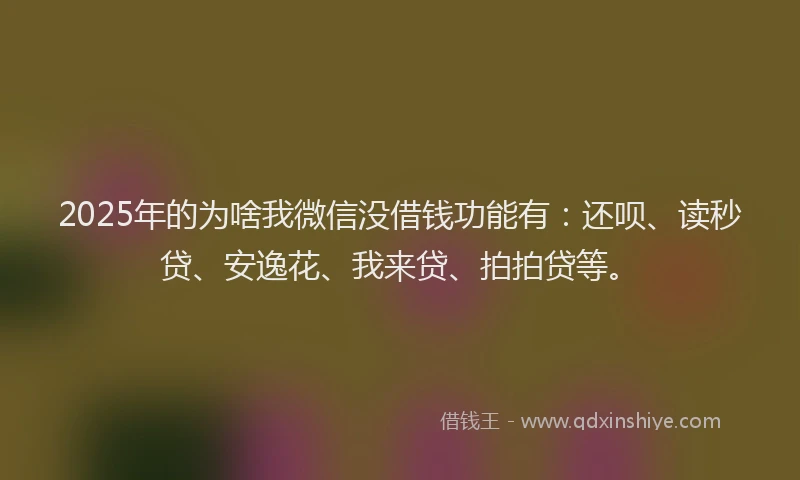 2025年的为啥我微信没借钱功能有：还呗、读秒贷、安逸花、我来贷、拍拍贷等。