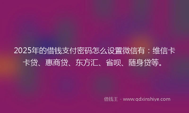 2025年的借钱支付密码怎么设置微信有：维信卡卡贷、惠商贷、东方汇、省呗、随身贷等。