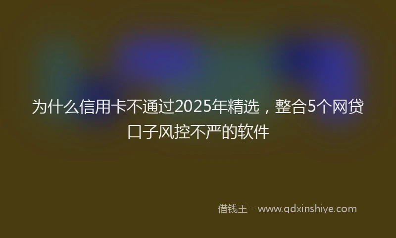 为什么信用卡不通过2025年精选，整合5个网贷口子风控不严的软件