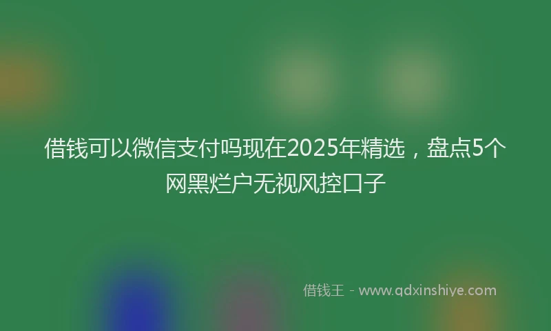 借钱可以微信支付吗现在2025年精选，盘点5个网黑烂户无视风控口子