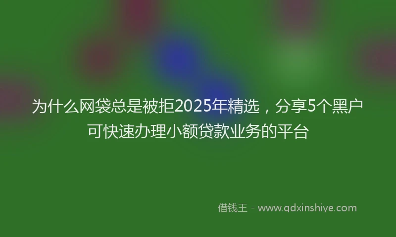 为什么网袋总是被拒2025年精选，分享5个黑户可快速办理小额贷款业务的平台
