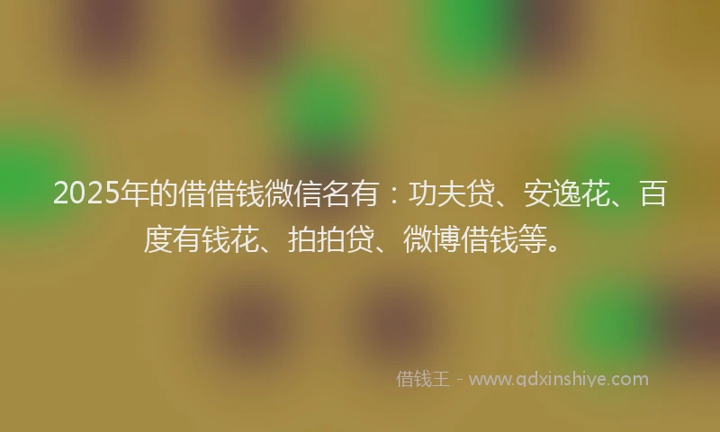 2025年的借借钱微信名有：功夫贷、安逸花、百度有钱花、拍拍贷、微博借钱等。