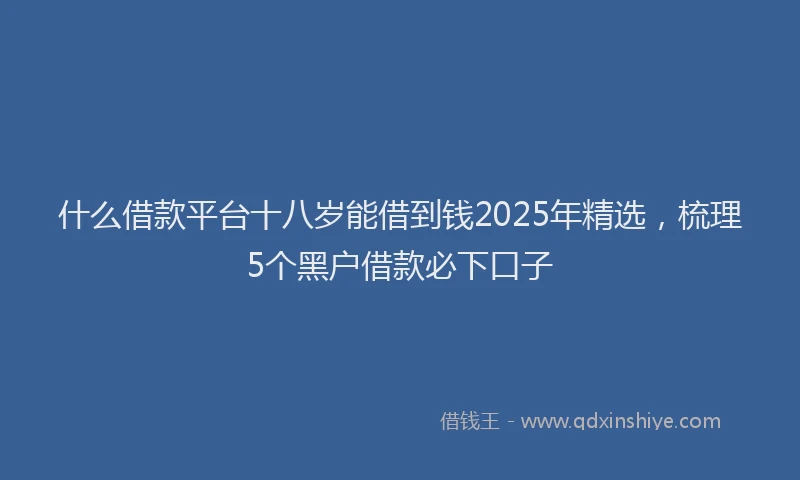 什么借款平台十八岁能借到钱2025年精选，梳理5个黑户借款必下口子