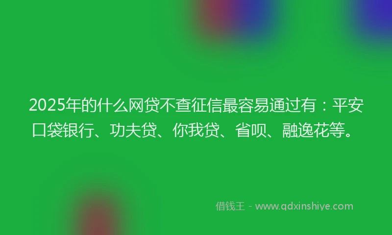 2025年的什么网贷不查征信最容易通过有：平安口袋银行、功夫贷、你我贷、省呗、融逸花等。