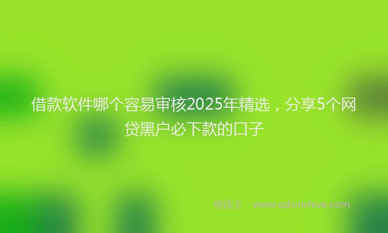 借款软件哪个容易审核2025年精选，分享5个网贷黑户必下款的口子