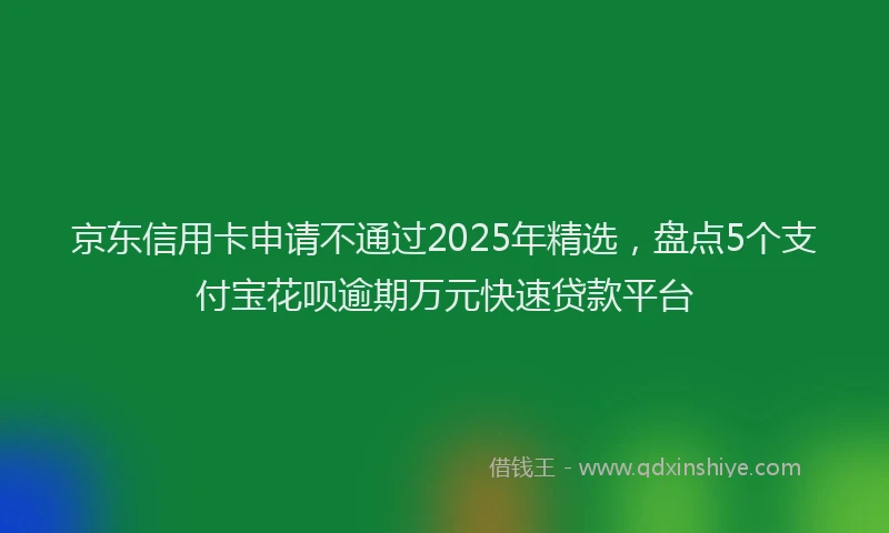 京东信用卡申请不通过2025年精选，盘点5个支付宝花呗逾期万元快速贷款平台