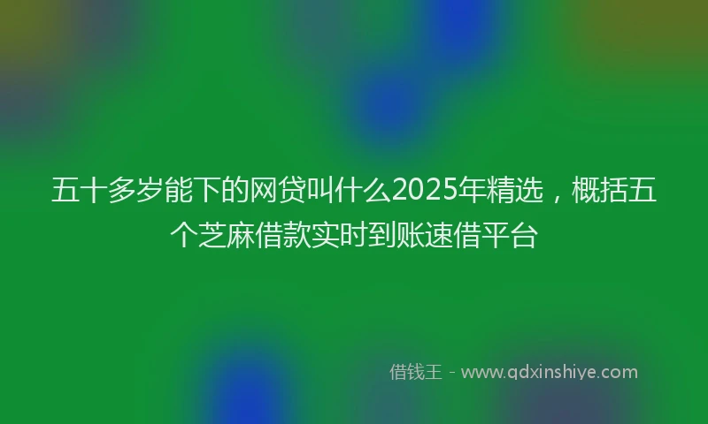 五十多岁能下的网贷叫什么2025年精选，概括五个芝麻借款实时到账速借平台
