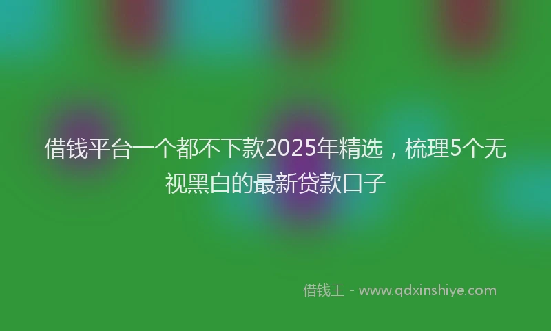 借钱平台一个都不下款2025年精选，梳理5个无视黑白的最新贷款口子