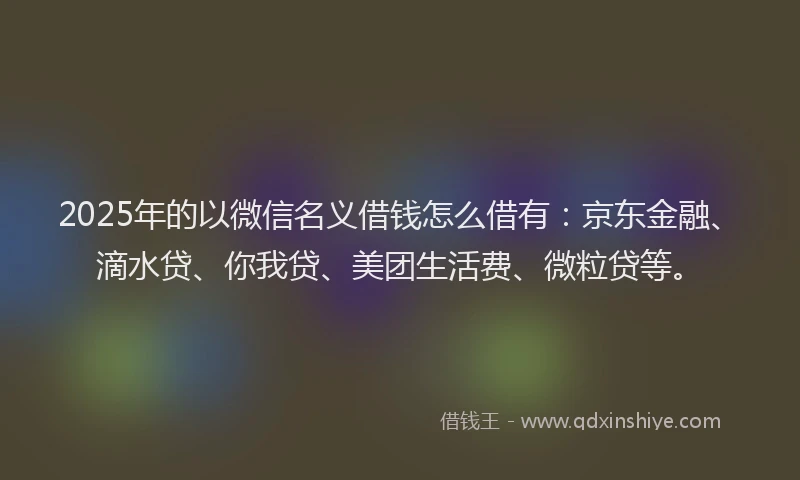 2025年的以微信名义借钱怎么借有：京东金融、滴水贷、你我贷、美团生活费、微粒贷等。