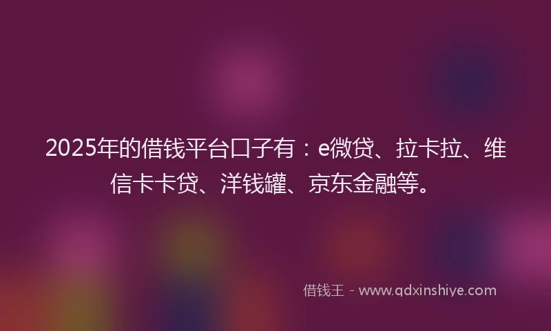 2025年的借钱平台口子有：e微贷、拉卡拉、维信卡卡贷、洋钱罐、京东金融等。