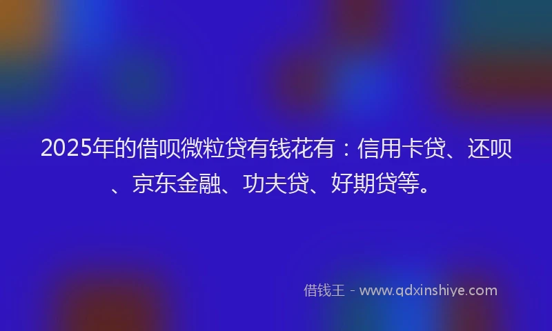 2025年的借呗微粒贷有钱花有：信用卡贷、还呗、京东金融、功夫贷、好期贷等。
