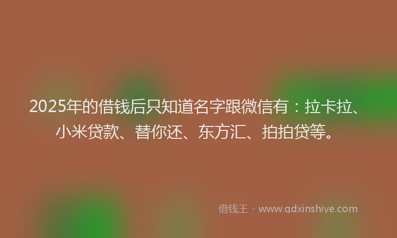 2025年的借钱后只知道名字跟微信有：拉卡拉、小米贷款、替你还、东方汇、拍拍贷等。