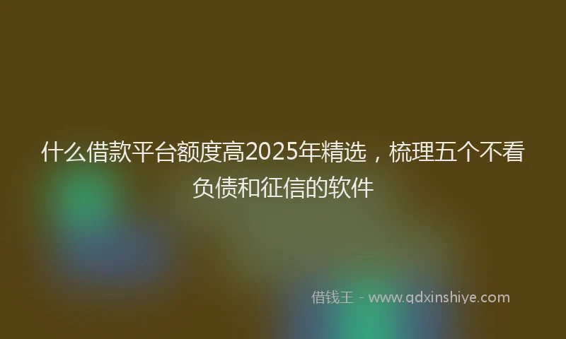 什么借款平台额度高2025年精选，梳理五个不看负债和征信的软件