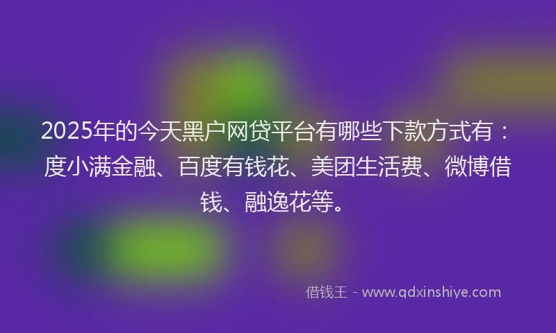 2025年的今天黑户网贷平台有哪些下款方式有：度小满金融、百度有钱花、美团生活费、微博借钱、融逸花等。
