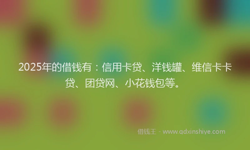 2025年的借钱有：信用卡贷、洋钱罐、维信卡卡贷、团贷网、小花钱包等。