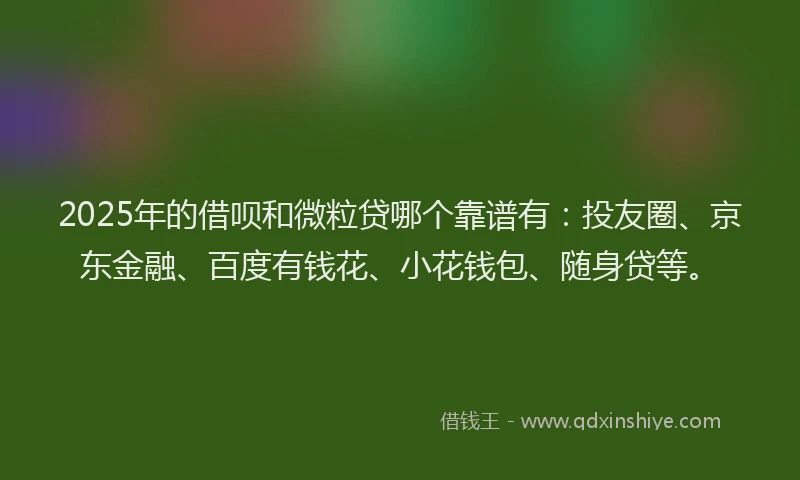 2025年的借呗和微粒贷哪个靠谱有：投友圈、京东金融、百度有钱花、小花钱包、随身贷等。