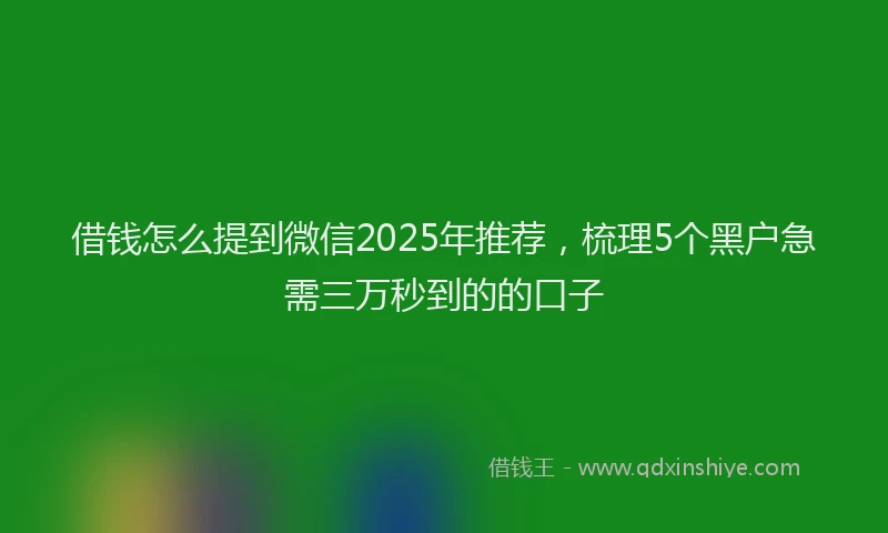 借钱怎么提到微信2025年推荐，梳理5个黑户急需三万秒到的的口子