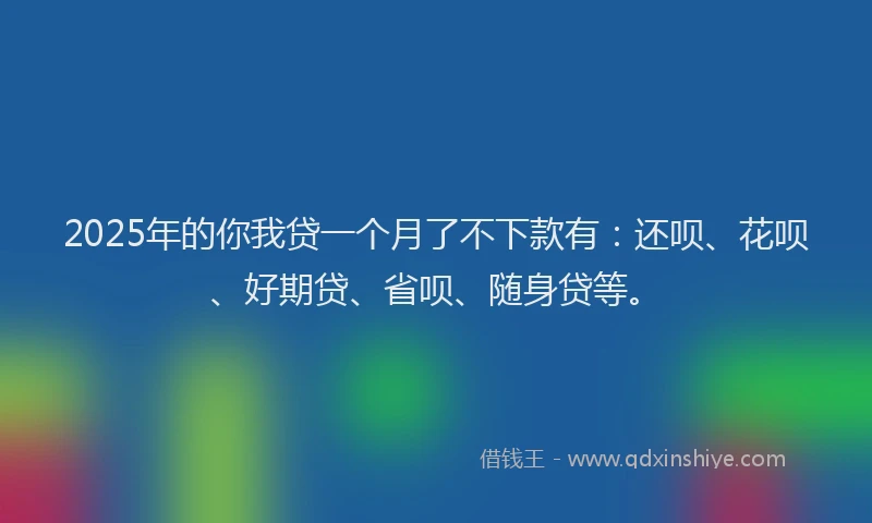 2025年的你我贷一个月了不下款有：还呗、花呗、好期贷、省呗、随身贷等。