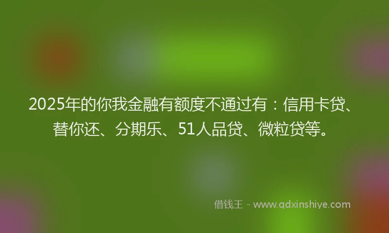 2025年的你我金融有额度不通过有：信用卡贷、替你还、分期乐、51人品贷、微粒贷等。