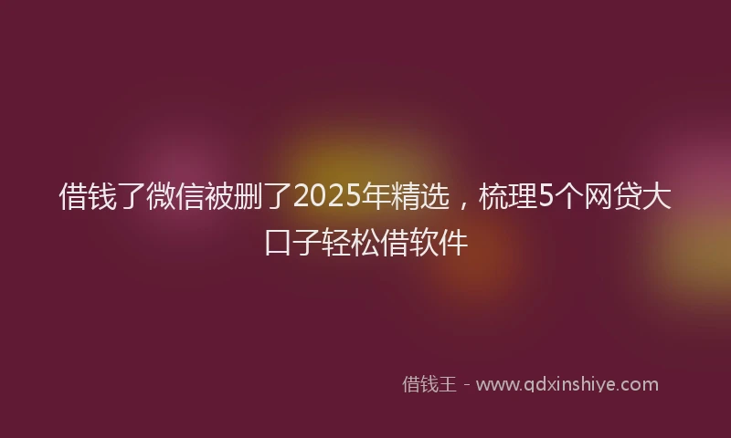 借钱了微信被删了2025年精选，梳理5个网贷大口子轻松借软件