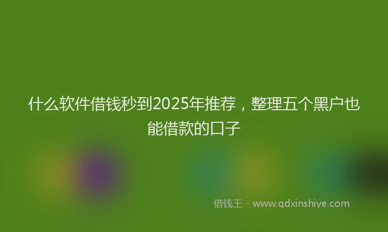 什么软件借钱秒到2025年推荐，整理五个黑户也能借款的口子