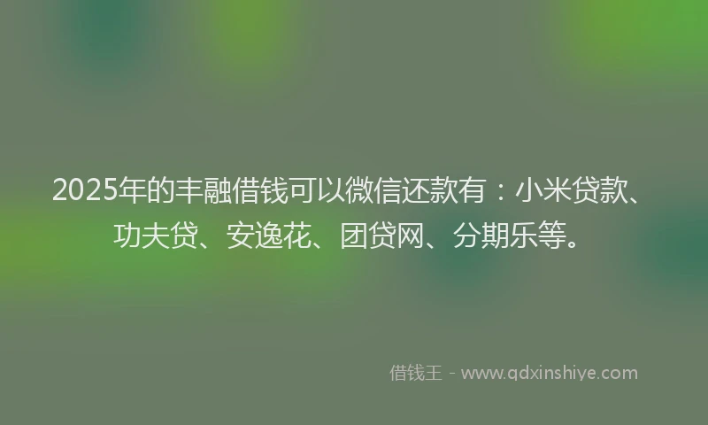 2025年的丰融借钱可以微信还款有：小米贷款、功夫贷、安逸花、团贷网、分期乐等。