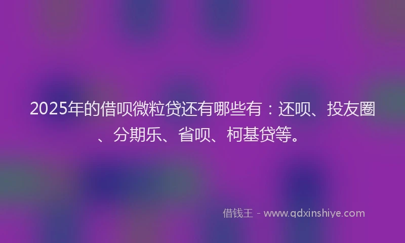 2025年的借呗微粒贷还有哪些有：还呗、投友圈、分期乐、省呗、柯基贷等。