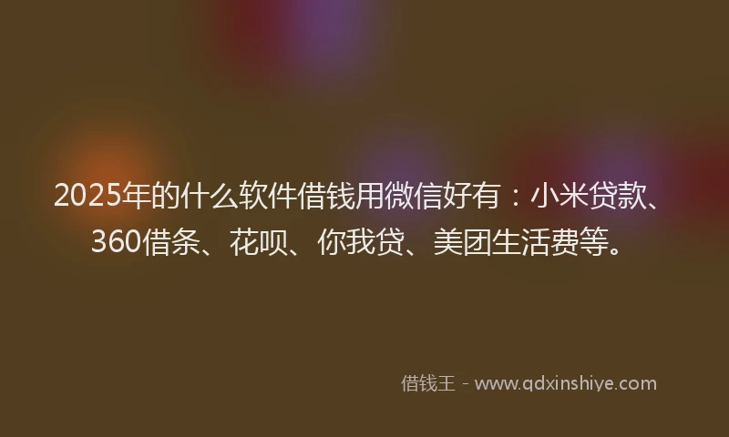 2025年的什么软件借钱用微信好有：小米贷款、360借条、花呗、你我贷、美团生活费等。