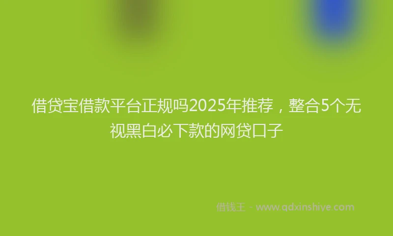 借贷宝借款平台正规吗2025年推荐，整合5个无视黑白必下款的网贷口子