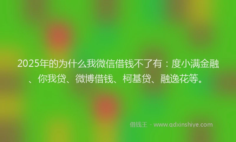2025年的为什么我微信借钱不了有：度小满金融、你我贷、微博借钱、柯基贷、融逸花等。