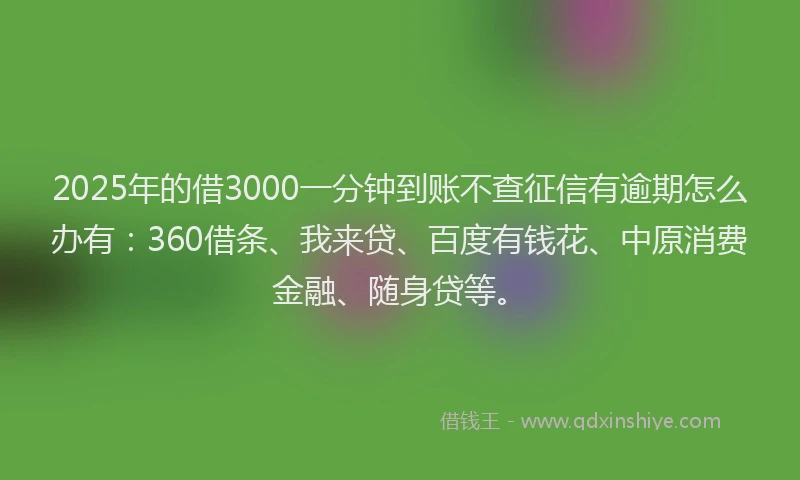 2025年的借3000一分钟到账不查征信有逾期怎么办有：360借条、我来贷、百度有钱花、中原消费金融、随身贷等。