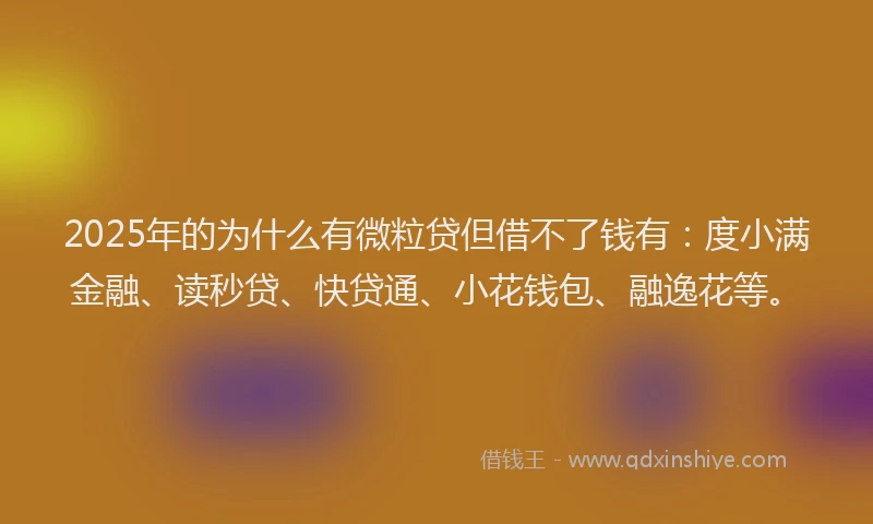 2025年的为什么有微粒贷但借不了钱有：度小满金融、读秒贷、快贷通、小花钱包、融逸花等。