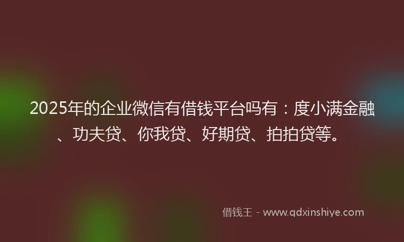2025年的企业微信有借钱平台吗有：度小满金融、功夫贷、你我贷、好期贷、拍拍贷等。