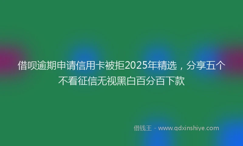 借呗逾期申请信用卡被拒2025年精选，分享五个不看征信无视黑白百分百下款