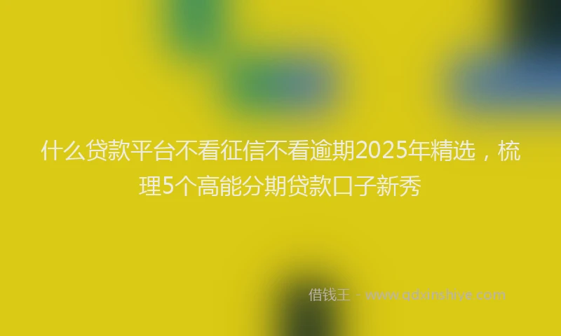 什么贷款平台不看征信不看逾期2025年精选，梳理5个高能分期贷款口子新秀
