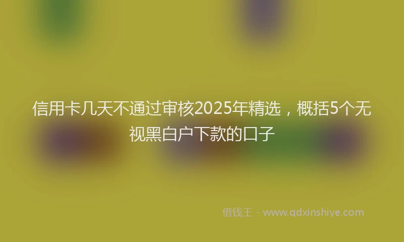 信用卡几天不通过审核2025年精选，概括5个无视黑白户下款的口子