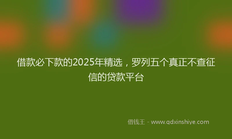 借款必下款的2025年精选，罗列五个真正不查征信的贷款平台