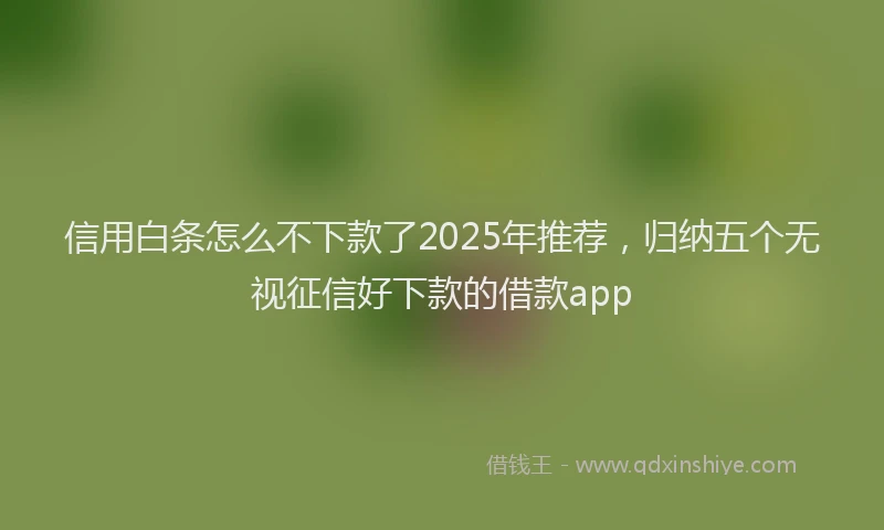 信用白条怎么不下款了2025年推荐，归纳五个无视征信好下款的借款app
