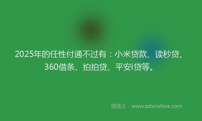 2025年的任性付通不过有：小米贷款、读秒贷、360借条、拍拍贷、平安i贷等。